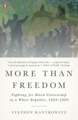 More Than Freedom: Fighting for Black Citizenship in a White Republic, 1829-1889 by Stephen Kantrowitz