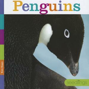 Penguins by Kate Riggs