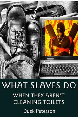 What Slaves Do When They Aren't Cleaning Toilets: A Tale of Web Accessibility in the Cybersex Era by Dusk Peterson