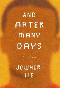 And After Many Days by Jowhor Ile