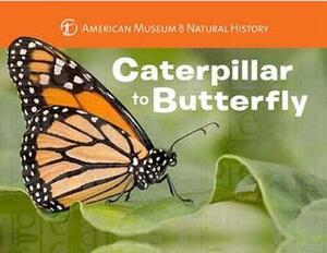 Caterpillar to Butterfly by American Museum of Natural History, Melissa Stewart