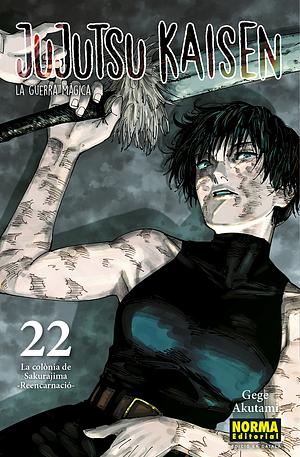 JUJUTSU KAISEN 22 by Gege Akutami