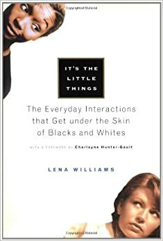 It's the Little Things: The Everyday Interactions That Get under the Skin of Blacks and Whites by Lena Williams