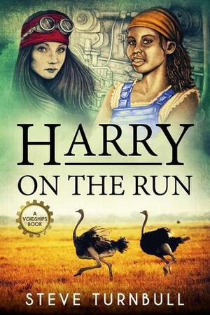 Harry on the Run by Steve Turnbull