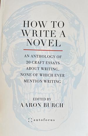 How to Write a Novel: An Anthology of 20 Craft Essays About Writing, None of Which Ever Mention Writing by Aaron Burch