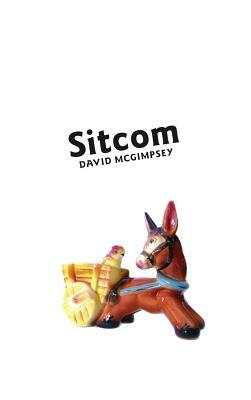 Sitcom by David McGimpsey