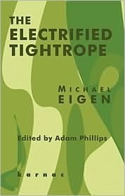 Electrified Tightrope by Michael Eigen