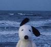 matilde09's profile picture