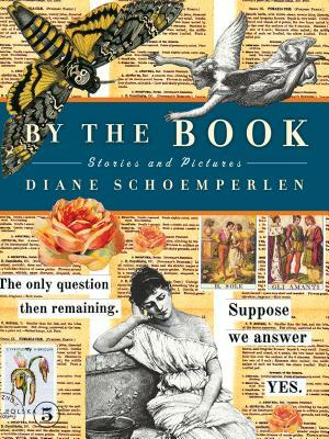 By the Book: Stories and Pictures by Diane Schoemperlen