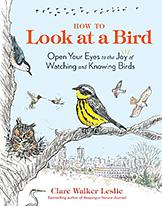 How to Look at a Bird: Open Your Eyes to the Joy of Watching and Knowing Birds by Clare Walker Leslie