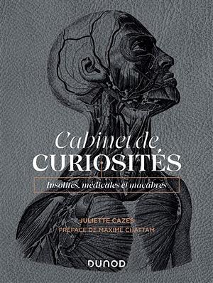 Cabinet de curiosités by Juliette Cazes