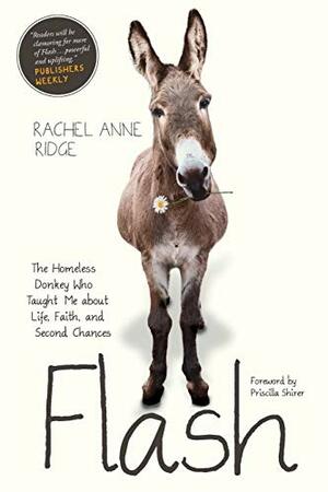 Flash: The Homeless Donkey Who Taught Me about Life, Faith, and Second Chances by Rachel Anne Ridge