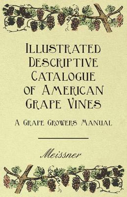 Illustrated Descriptive Catalogue of American Grape Vines - A Grape Growers Manual by Various, Meissner