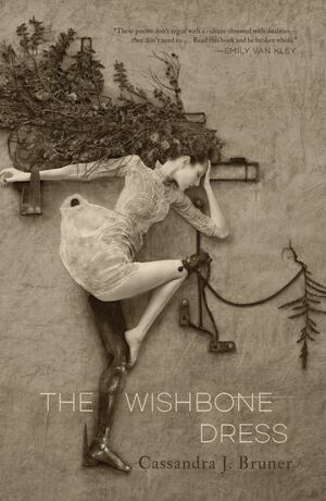 The Wishbone Dress by Cassandra J. Bruner