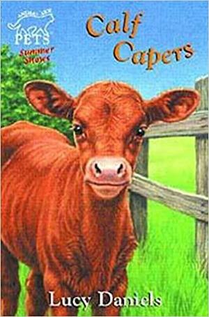 Calf Capers by Lucy Daniels