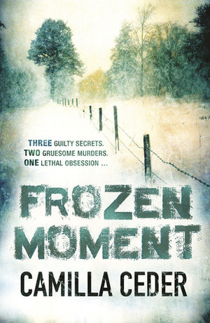Frozen Moment by Marlaine Delargy, Camilla Ceder