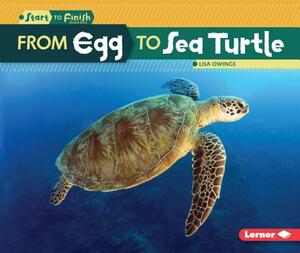 From Egg to Sea Turtle by Lisa Owings