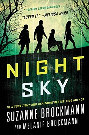 Night Sky by Suzanne Brockmann