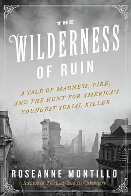 The Wilderness of Ruin: A Tale of Madness, Fire, and the Hunt for America's Youngest Serial Killer by Roseanne Montillo