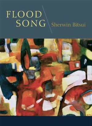 Flood Song by Sherwin Bitsui