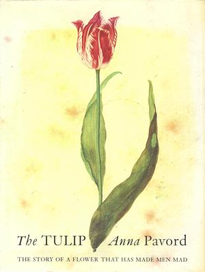 The Tulip: The Story of a Flower That Has Made Men Mad by Anna Pavord