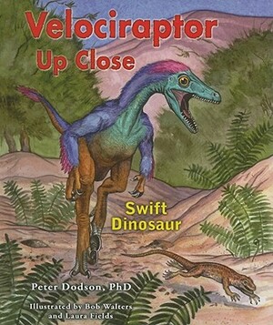Velociraptor Up Close: Swift Dinosaur by Peter Dodson