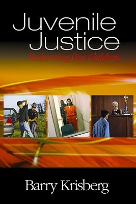 Juvenile Justice: Redeeming Our Children by Barry A. Krisberg