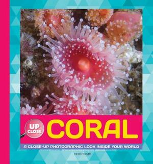 Coral: A Close-Up Photographic Look Inside Your World by Heidi Fiedler