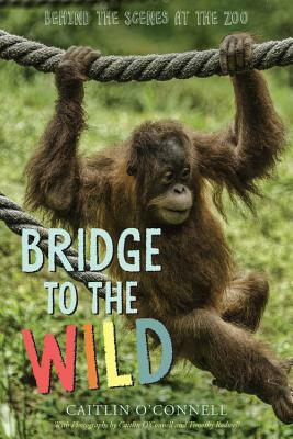 Bridge to the Wild: Behind the Scenes at the Zoo by Caitlin O'Connell