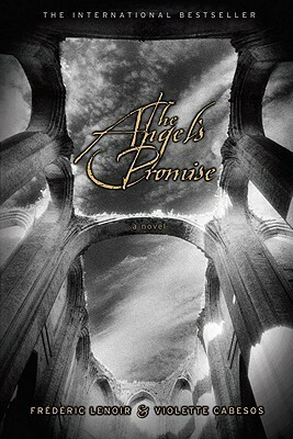 The Angel's Promise by Frédéric Lenoir