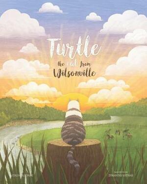 Turtle the cat from Wilsonville by Stas Holodnak