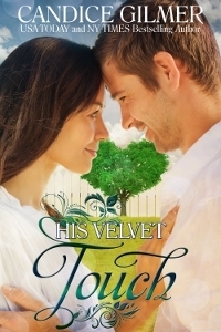 His Velvet Touch by Candice Gilmer