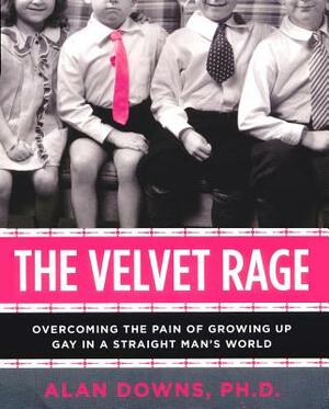 The Velvet Rage: Overcoming the Pain of Growing Up Gay in a Straight Man's World by Alan Downs