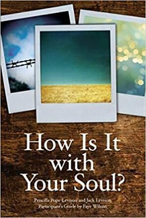 How Is It with Your Soul? by Priscilla Pope-Levison, Jack Levison