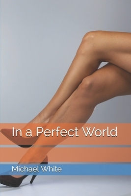 In a Perfect World by Michael White