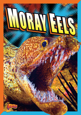 Moray Eels by Gail Terp