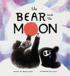 The Bear and the Moon by Matthew Burgess