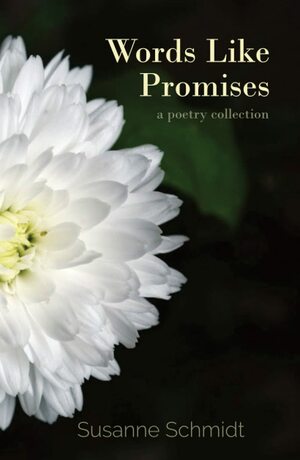 Words Like Promises by Susanne Schmidt