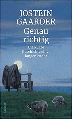 Genau richtig: Die kurze Geschichte einer langen Nacht by Jostein Gaarder, Gabriele Haefs