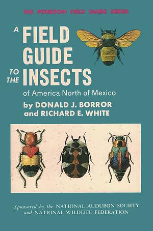 A Field Guide to the Insects:America North of Mexico by Richard E. White, Donald J. Borror