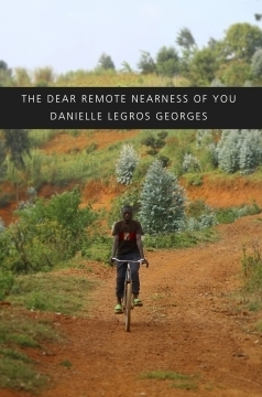 The Dear Remote Nearness of You by Danielle Legros Georges