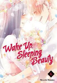 Wake Up, Sleeping Beauty, Volume 6 by Megumi Morino