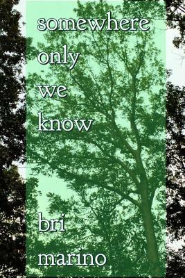 somewhere only we know by Bri Marino, Genz Publishing