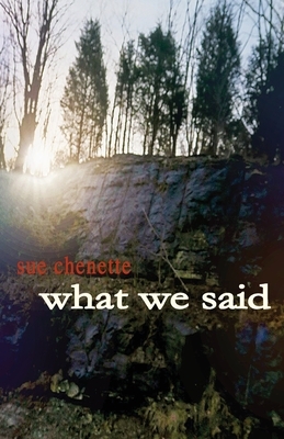 What We Said by Sue Chenette