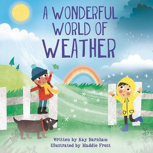 Look and Wonder: The Wonderful World of Weather by Kay Barnham, Maddie Frost