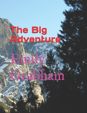 The Big Adventure by Emily Grabham