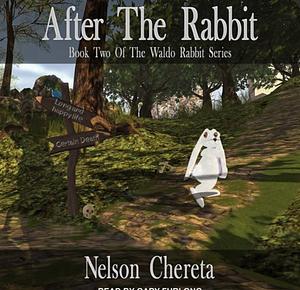 After the Rabbit by Nelson Chereta