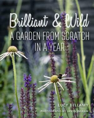 Brilliant & Wild: A Garden from Scratch in a Year by Lucy Bellamy