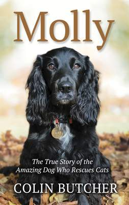 Molly: The True Story of the Amazing Dog Who Rescues Cats by Colin Butcher