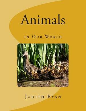 Animals in Our World by Judith Ryan